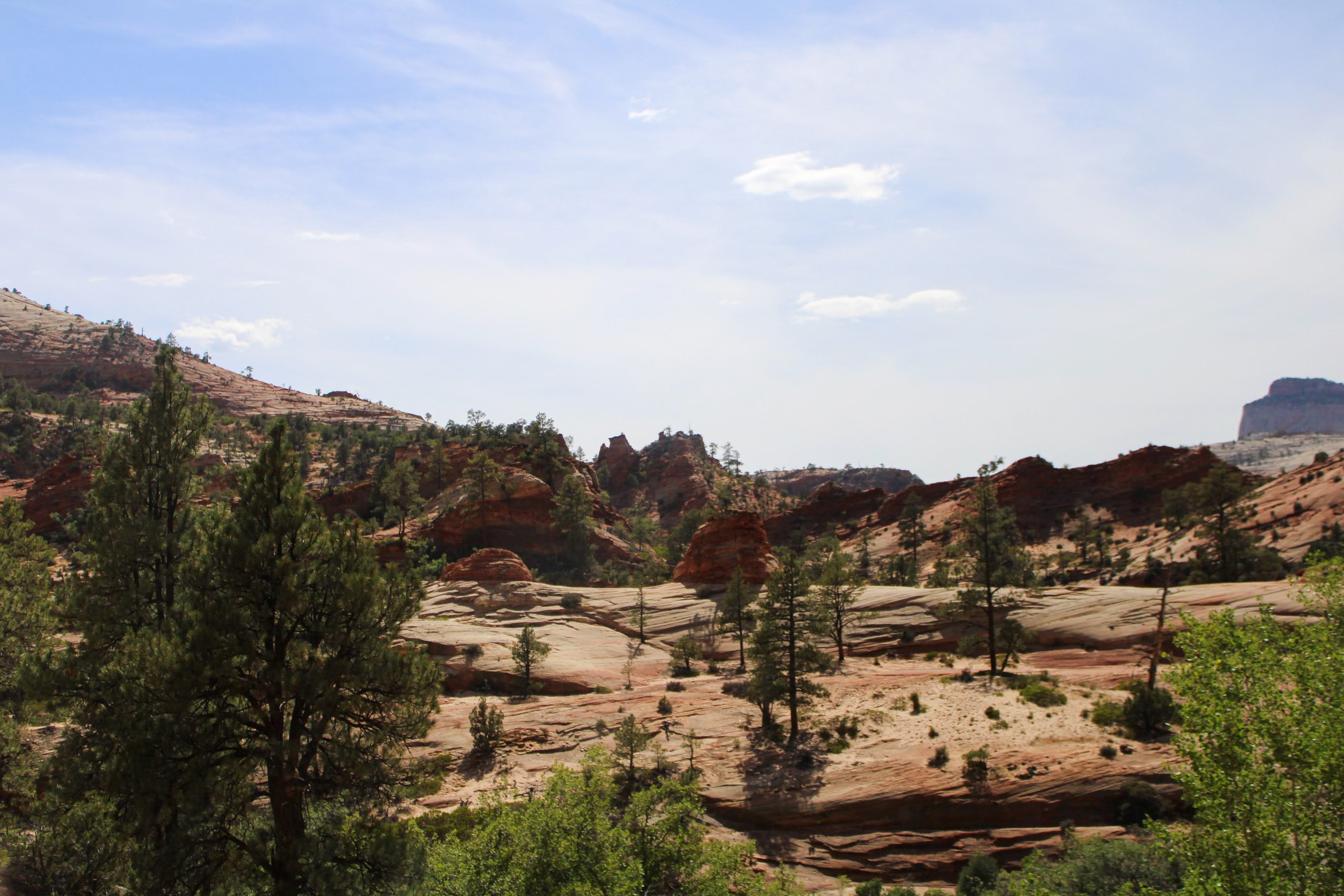 Zion National Park ph2