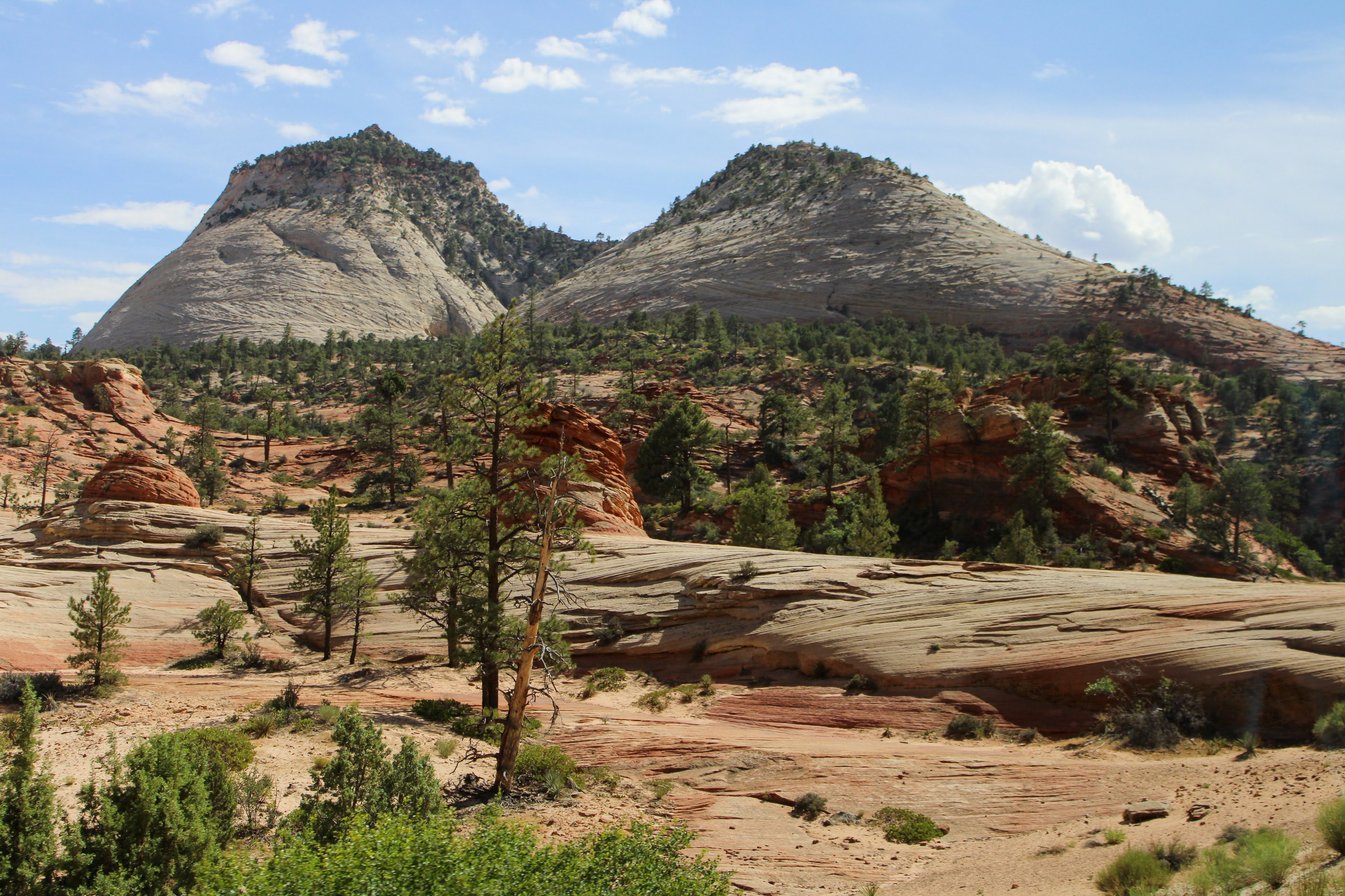 Zion National Park ph3