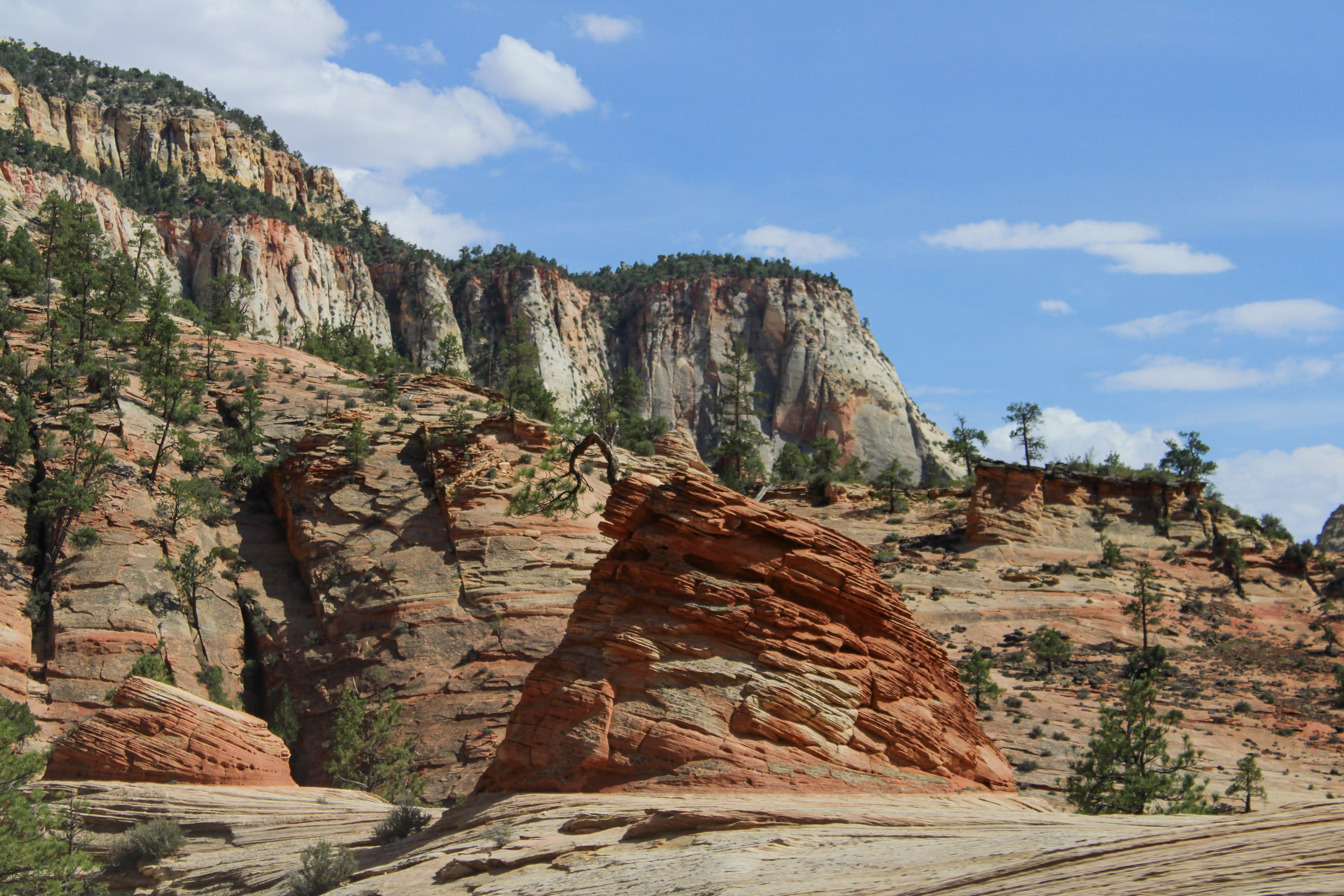 Zion National Park ph4