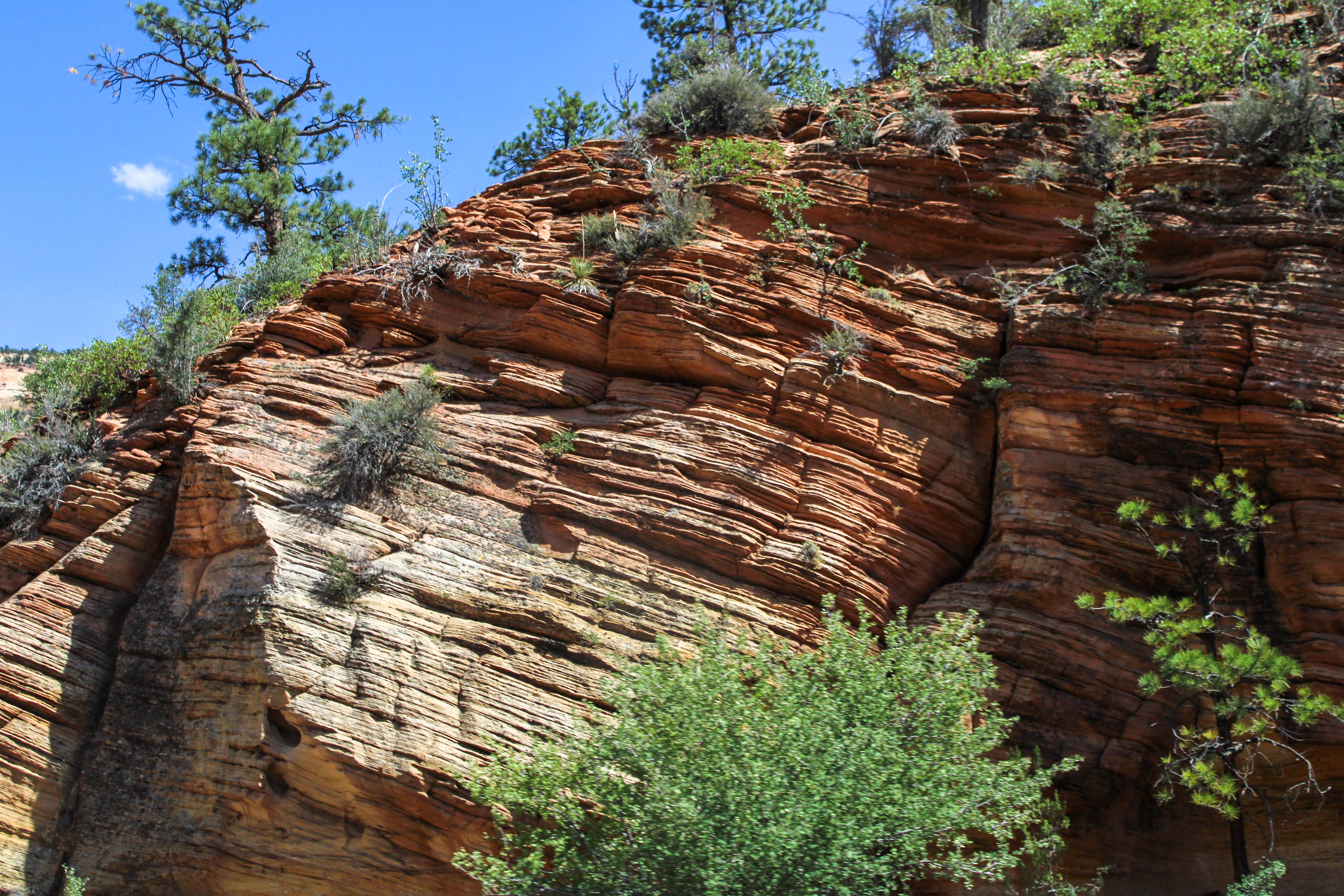 Zion National Park ph5