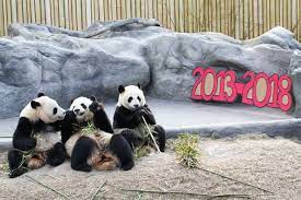torontozoo